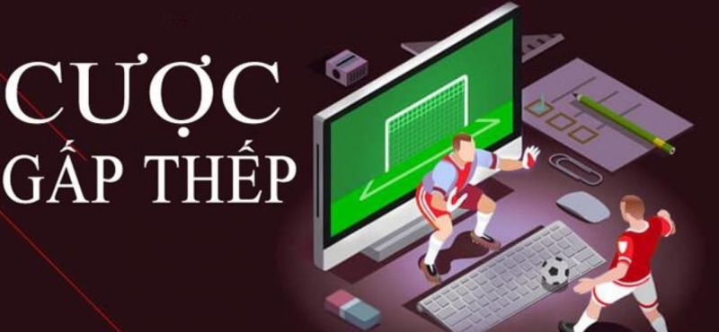 Cách chơi cá cược gấp thếp hiệu quả nhất