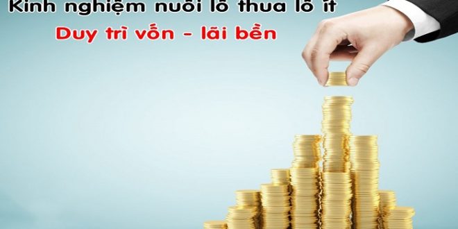 Cách chơi lô đỉnh cao dành cho người ít vốn
